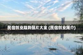 民宿创业趋势图片大全 (民宿创业简介)