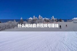 什么网站能开视频号赚钱 