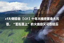 cf大佬经验 【CF】十年火线终紫金大元首，“军衔至上”的火线你又可否经历