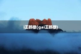 i王鹤棣(gai王鹤棣)