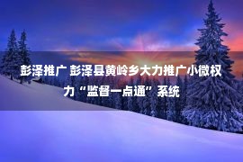 彭泽推广 彭泽县黄岭乡大力推广小微权力“监督一点通”系统