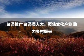 彭泽推广 彭泽县人大：聚焦文化产业 助力乡村振兴