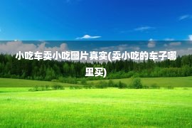 小吃车卖小吃图片真实(卖小吃的车子哪里买)