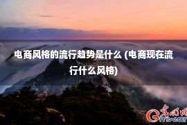 电商风格的流行趋势是什么 (电商现在流行什么风格)