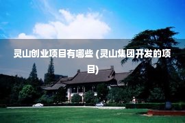 灵山创业项目有哪些 (灵山集团开发的项目)