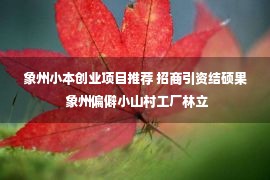 象州小本创业项目推荐 招商引资结硕果 象州偏僻小山村工厂林立