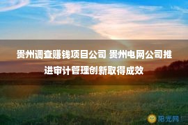 贵州调查赚钱项目公司 贵州电网公司推进审计管理创新取得成效