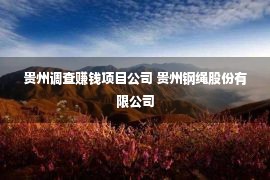 贵州调查赚钱项目公司 贵州钢绳股份有限公司