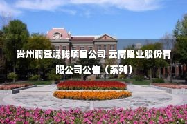 贵州调查赚钱项目公司 云南铝业股份有限公司公告（系列）