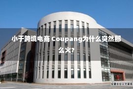 小于跨境电商 Coupang为什么突然那么火？