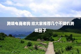 跨境电商老狗 给大家推荐几个不错的跨境圈子