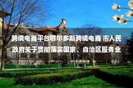 跨境电商平台鄂尔多斯跨境电商 市人民政府关于贯彻落实国家、自治区服务业和推进跨境电商发展若干政策措施新闻发布会