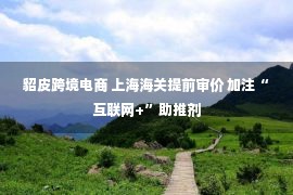 貂皮跨境电商 上海海关提前审价 加注“互联网+”助推剂