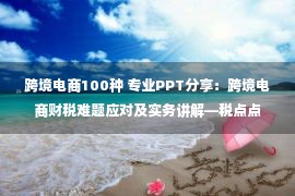 跨境电商100种 专业PPT分享：跨境电商财税难题应对及实务讲解—税点点