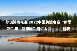 孙谦跨境电商 2022中国跨境电商“新思路”与“新布局”研讨大会——“新流量”格局之下的“新机会”