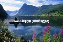 hush短视频 (呼呼短视频)