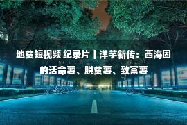 地贫短视频 纪录片丨洋芋新传：西海固的活命薯、脱贫薯、致富薯