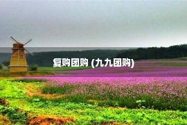 复购团购 (九九团购)