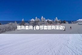 团购套购 (春节套团购活动)