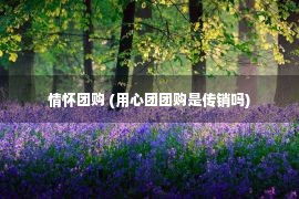 情怀团购 (用心团团购是传销吗)