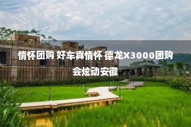 情怀团购 好车真情怀 德龙X3000团购会炫动安徽