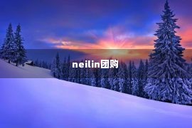 neilin团购 