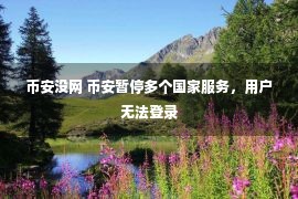 币安没网 币安暂停多个国家服务，用户无法登录