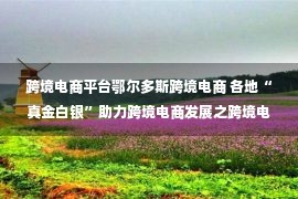 跨境电商平台鄂尔多斯跨境电商 各地“真金白银”助力跨境电商发展之跨境电商主体