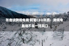 张奇谈跨境电商 阿里CEO张勇：跨境电商绝不是一阵风口