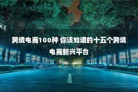 跨境电商100种 你该知道的十五个跨境电商新兴平台