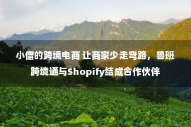 小僧的跨境电商 让商家少走弯路，鲁班跨境通与Shopify结成合作伙伴