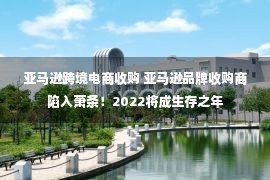 亚马逊跨境电商收购 亚马逊品牌收购商陷入萧条！2022将成生存之年