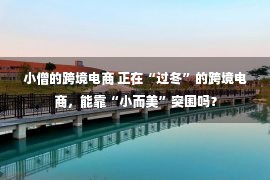 小僧的跨境电商 正在“过冬”的跨境电商，能靠“小而美”突围吗？