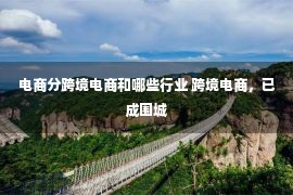 电商分跨境电商和哪些行业 跨境电商，已成围城