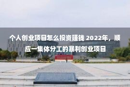 个人创业项目怎么投资赚钱 2022年，顺应一集体分工的暴利创业项目