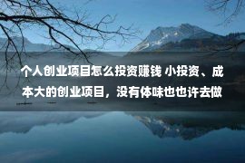 个人创业项目怎么投资赚钱 小投资、成本大的创业项目，没有体味也也许去做，你分解哪些？