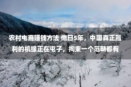 农村电商赚钱方法 他日5年，中国真正赢利的机缘正在屯子，拘束一个范畴都有万亿领域