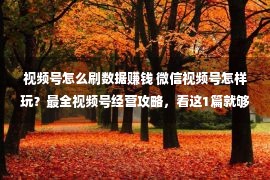 视频号怎么刷数据赚钱 微信视频号怎样玩？最全视频号经营攻略，看这1篇就够了（上）