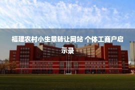 福建农村小生意转让网站 个体工商户启示录