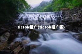 tictok推广(tictok推广费)