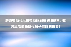 跨境电商可以去电商吗现在 未来5年 , 做跨境电商是取代房子最好的投资！