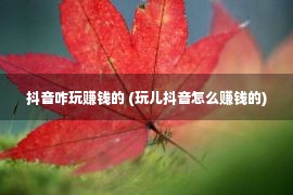 抖音咋玩赚钱的 (玩儿抖音怎么赚钱的)