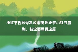 小红书视频号怎么赚钱 想正在小红书赢利，特定要看看这篇