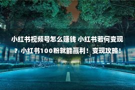 小红书视频号怎么赚钱 小红书若何变现？小红书100粉就能赢利！变现攻略！