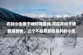 农村小生意干啥好呢赚钱:现在农村干啥能赚钱快，三个不起眼却很暴利的小生意