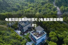 电商项目趋势分析图片 (电商发展趋势图片)