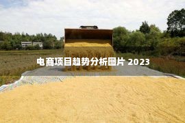 电商项目趋势分析图片 2023