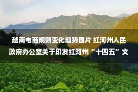 越南电商规则变化趋势图片 红河州人民政府办公室关于印发红河州“十四五”文化和旅游发展规划的通知