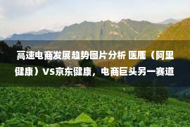 高速电商发展趋势图片分析 医鹿（阿里健康）VS京东健康，电商巨头另一赛道的比拼