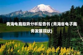 青海电商趋势分析报告书 (青海省电子商务发展现状)